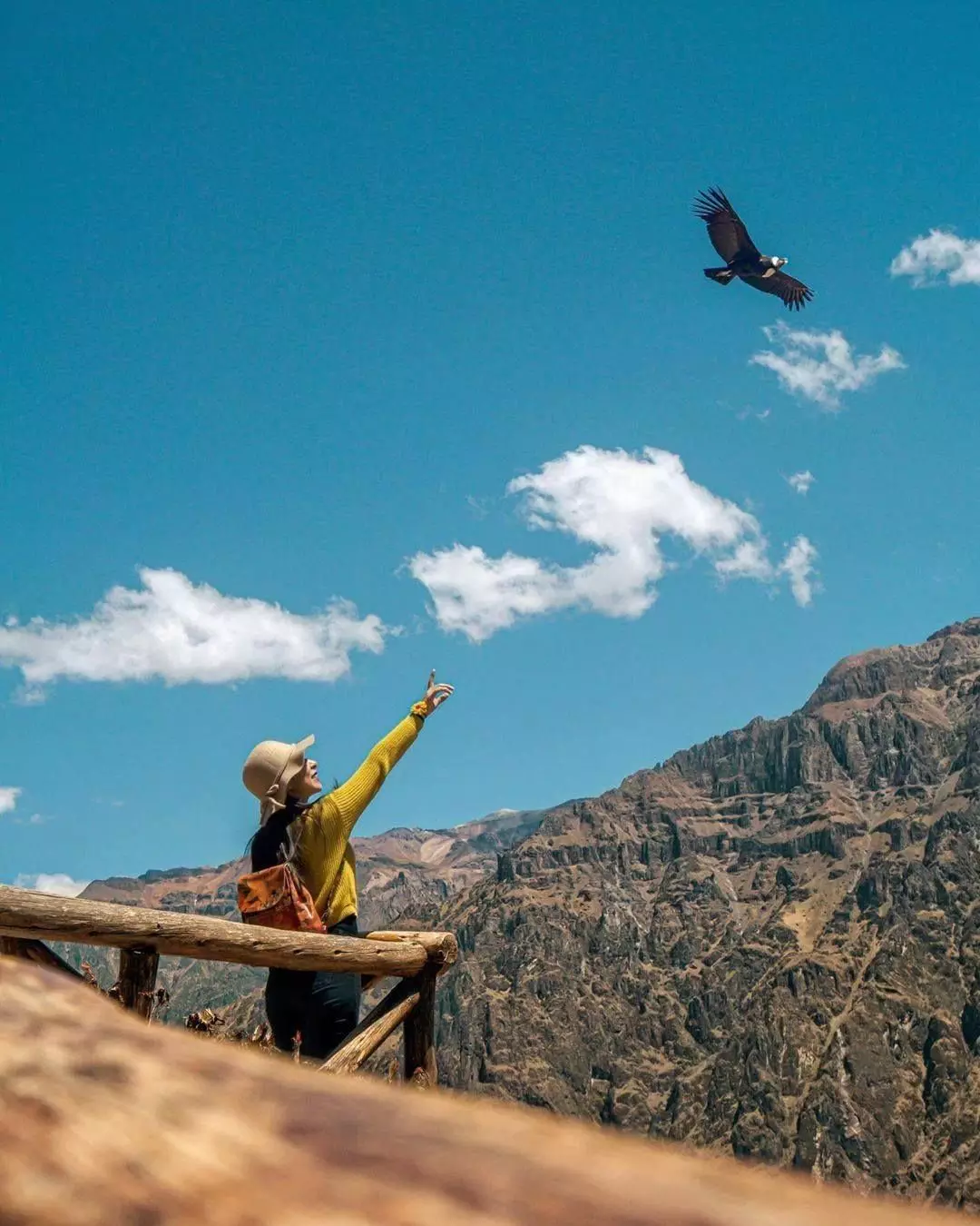 Cañón del Colca