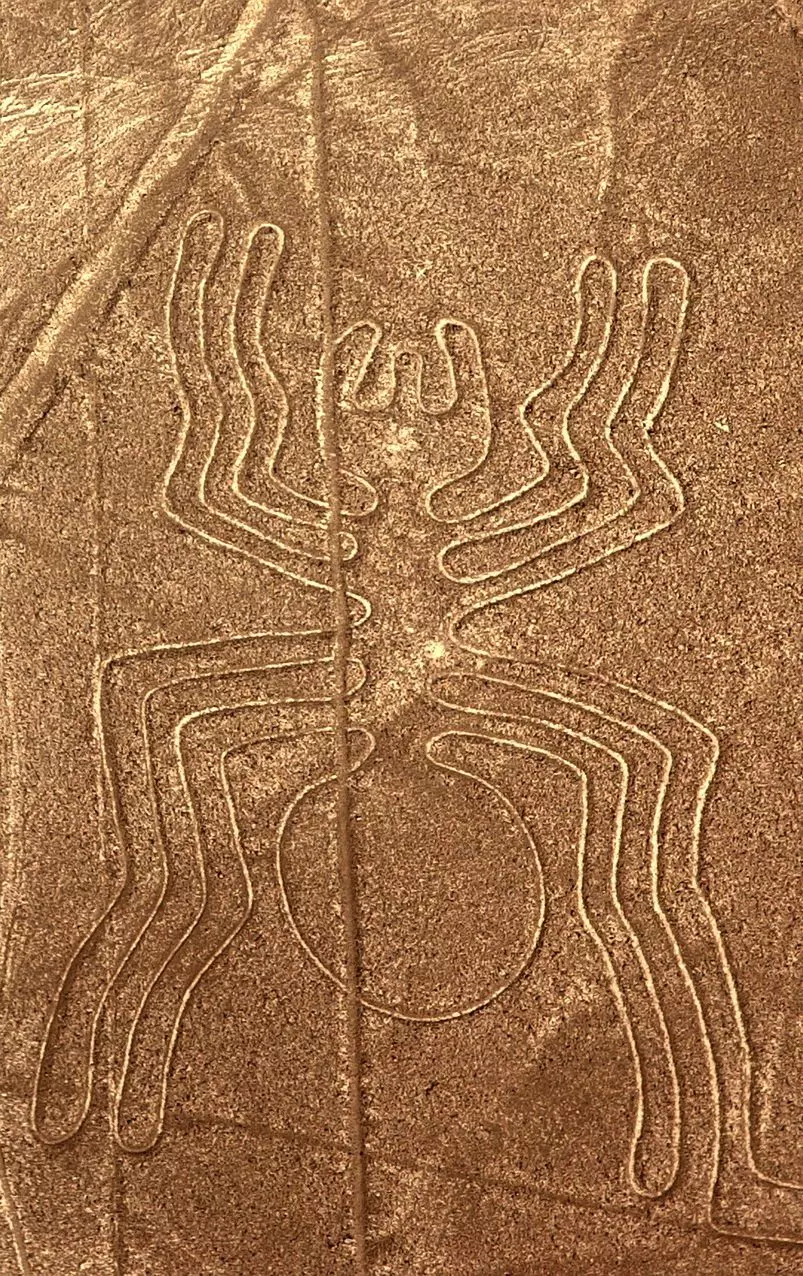 Lima – Líneas de Nasca – Paracas – Huacahina